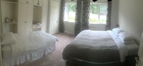 Hostal Dalton House