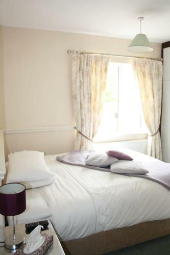Hostal Dalton House