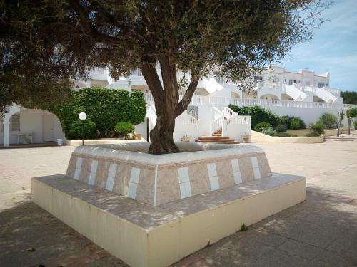 Apartamento Castellsol Arenal Home Beach
