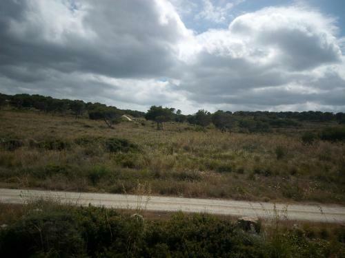 Apartamento Castellsol Arenal Home Beach