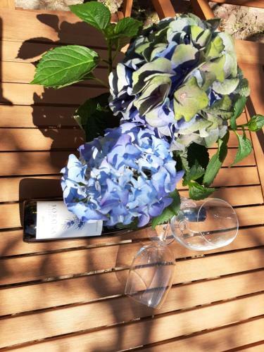 Nat�r Forr�s Apartman