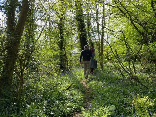 Agroturismo Blackhill Woods