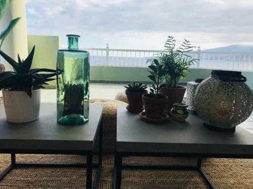 Apartamento La Casa Verde