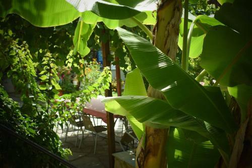 Hostal Room In Studio - Villa Maro3 Afytos
