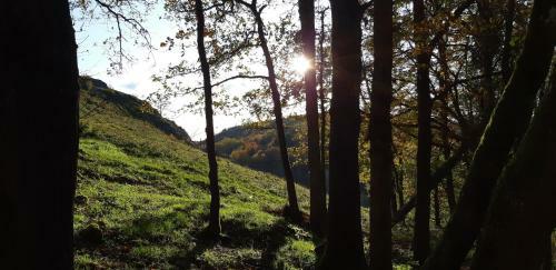 Bed & Breakfast Les Gabelous - Chambre D'h�tes