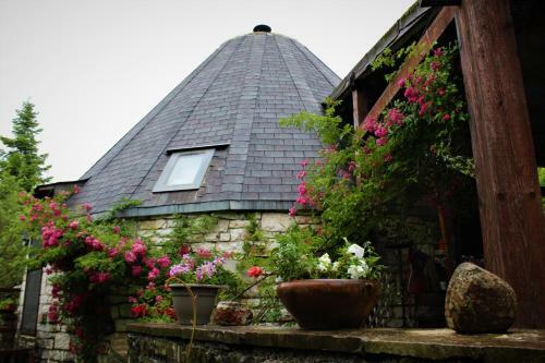 Lodge Theasis-igloo