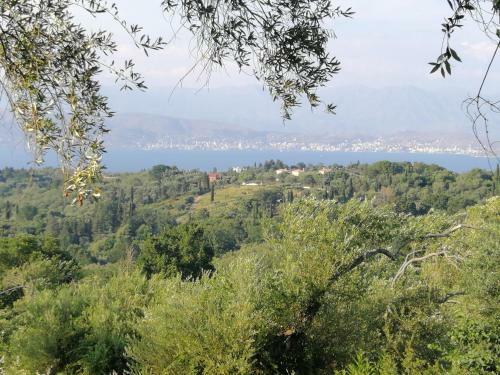 Olive Grove Deluxe Apartment