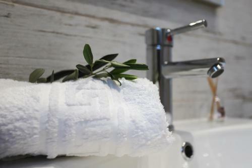 Olive Grove Deluxe Apartment