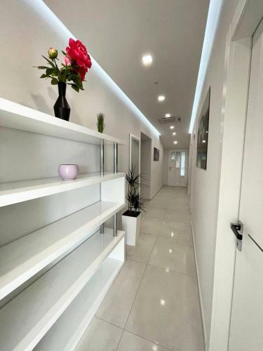 Black Diamond Apartment