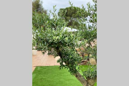 Pineda House Park, Platja D�aro