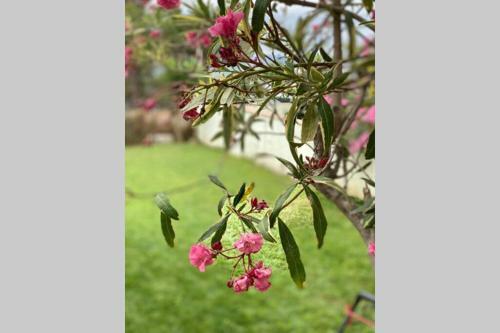 Pineda House Park, Platja D�aro