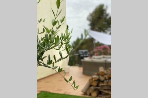 Pineda House Park, Platja D�aro
