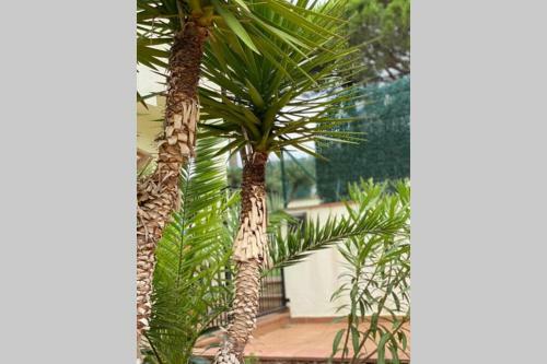 Pineda House Park, Platja D�aro