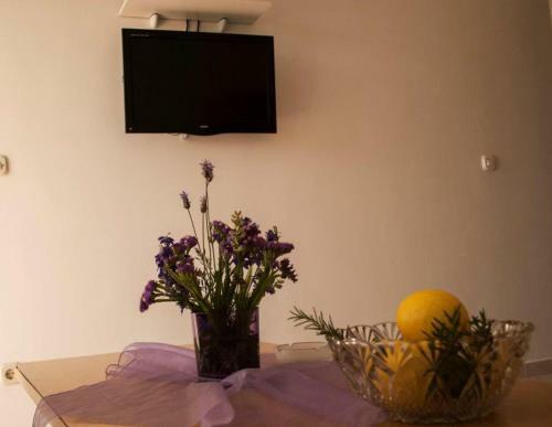 Apartmani Bo?ana Viganj
