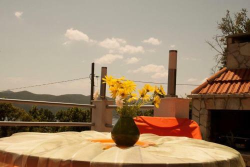 Apartmani Bo?ana Viganj
