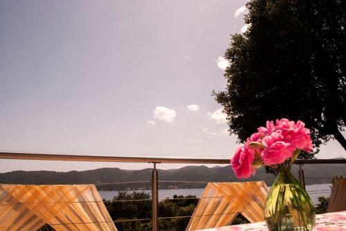 Apartmani Bo?ana Viganj