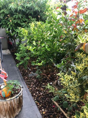 Apartamento Mi Sue�o