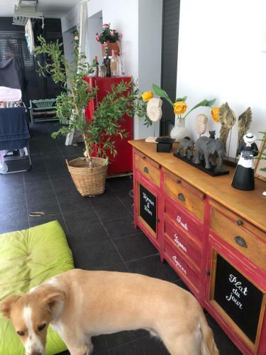 Apartamento Mi Sue�o