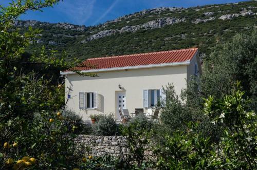 Vacation House Bosa