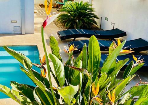 Villa "isla Bonita"