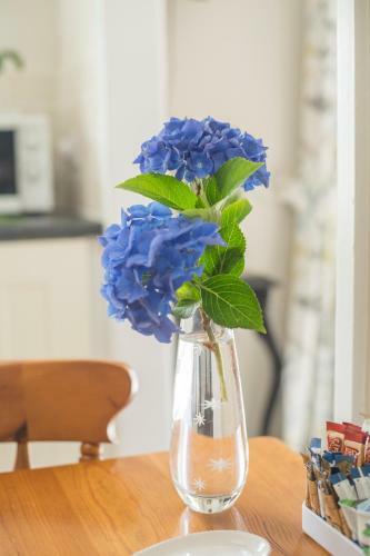 Pant-y-celyn Studio Apartment