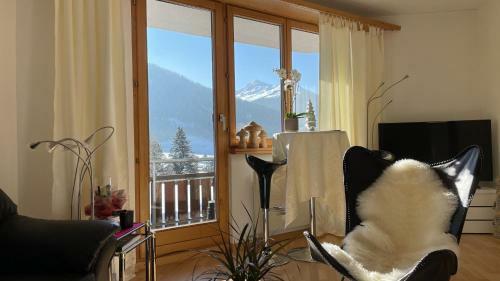 Apartamentos Alberti 5