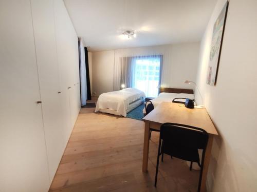 Apartment Seewiesenstrasse