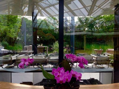 Hotel Paradiso Park