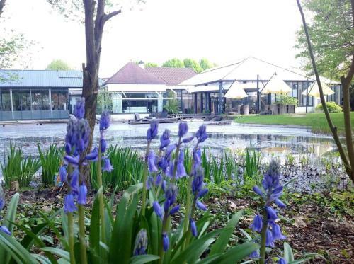 Hotel Paradiso Park