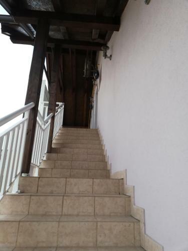 Apartman Cibale