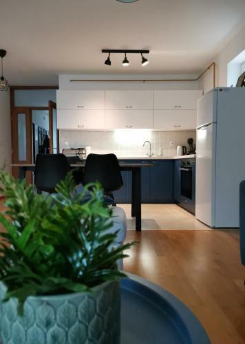 Apartman Cibale