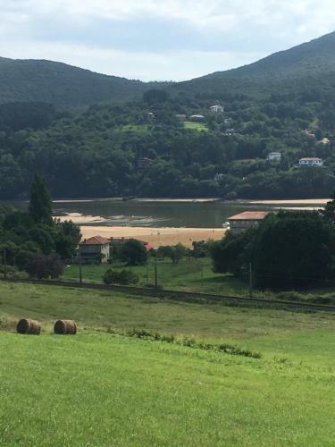 Apartamentos Urdaibai 4