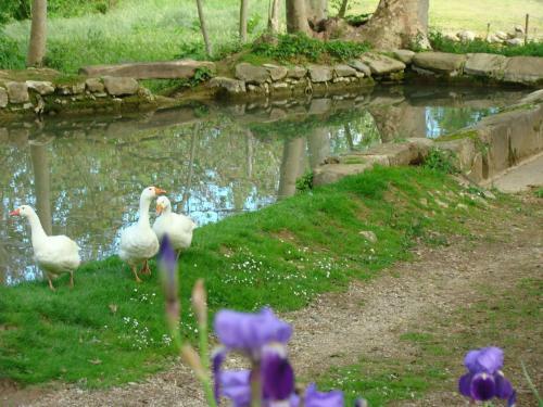 Agroturismo Mas Riera
