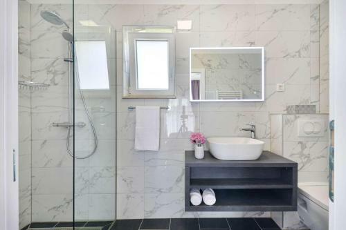 Luxury Stone Villa Banovi