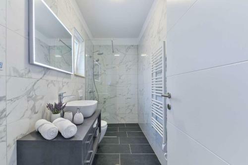 Luxury Stone Villa Banovi