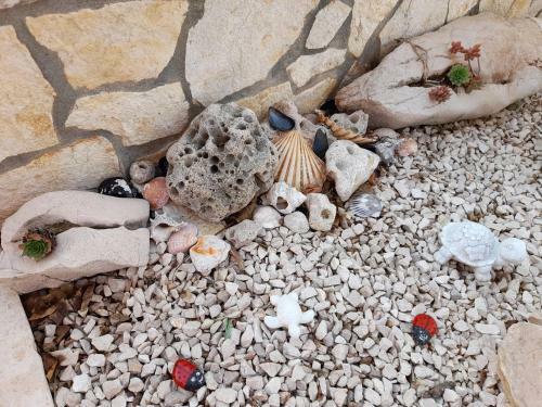 Apartamento Seashell Vinjerac