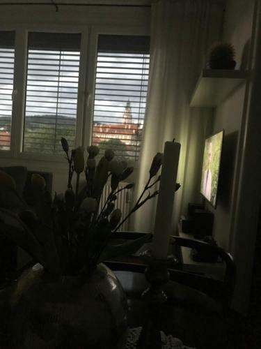 Apartamento Krumlove