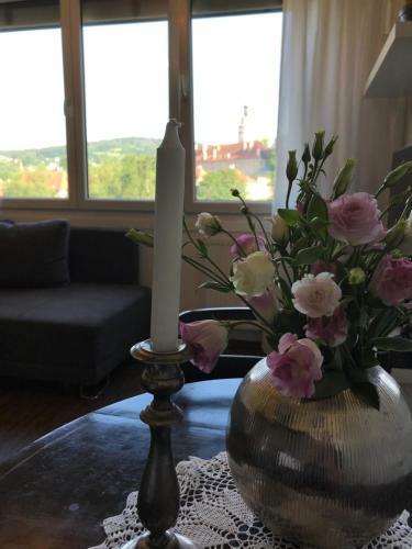 Apartamento Krumlove