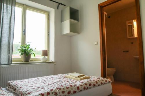 Apartm�ny Na Rynku Chvalsiny 18