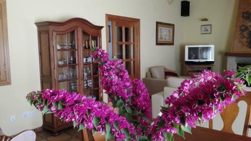 Chalet Apartamento Manolo