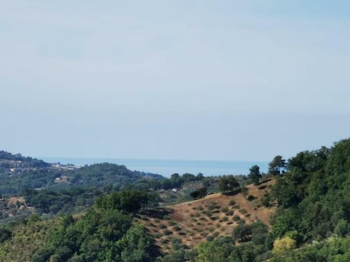 Bed & Breakfast Mansarda Fiorita