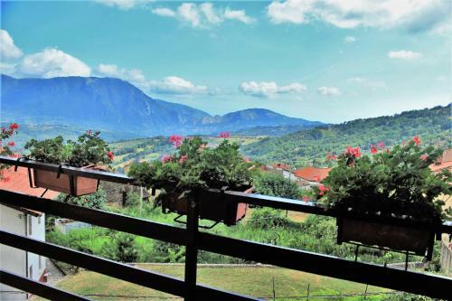 Bed & Breakfast Mansarda Fiorita