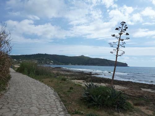Bed & Breakfast Mansarda Fiorita