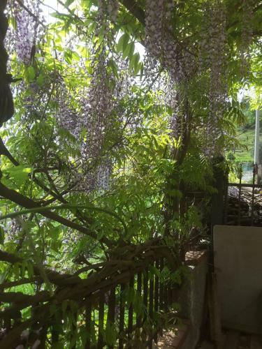 Bed & Breakfast Mansarda Fiorita