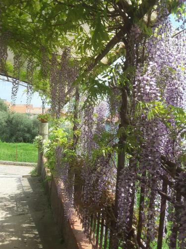 Bed & Breakfast Mansarda Fiorita