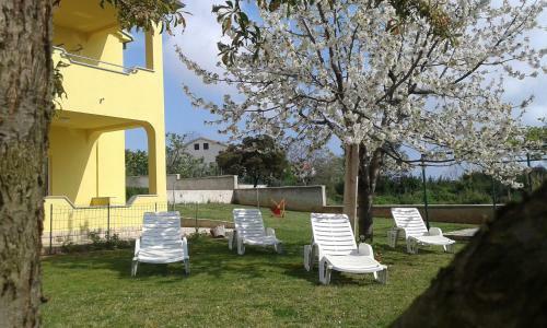 Hostal Guest House Mia