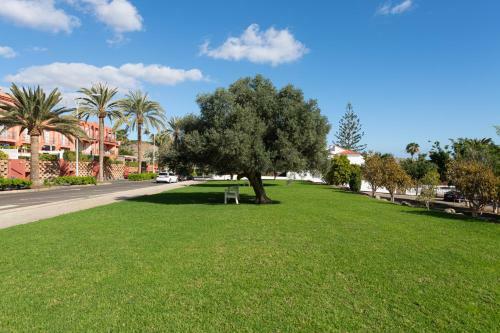 Apartamento Blue Marlin 14