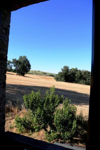B&B Mik E Ramo