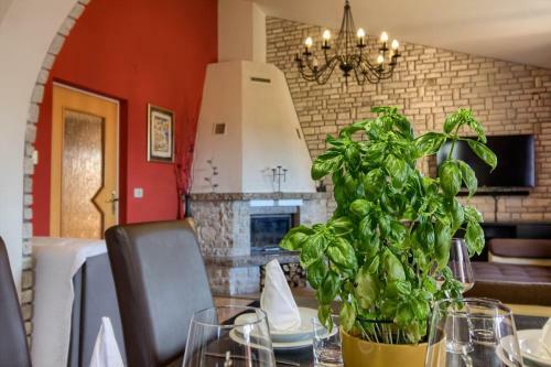 Apartment Green Paradise With Outdoor Swimming Pool