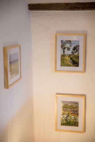Apartamento Goldhammer